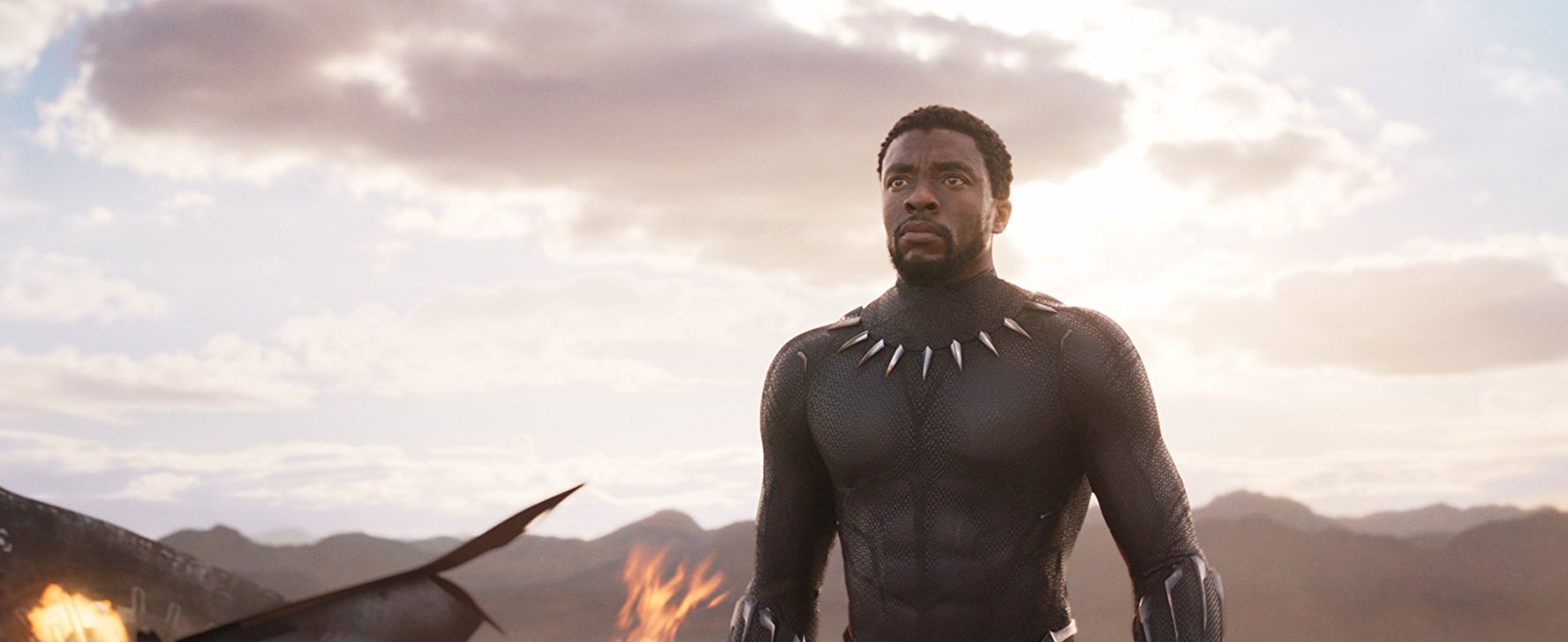 Black Panther - T'Challa uitsnede