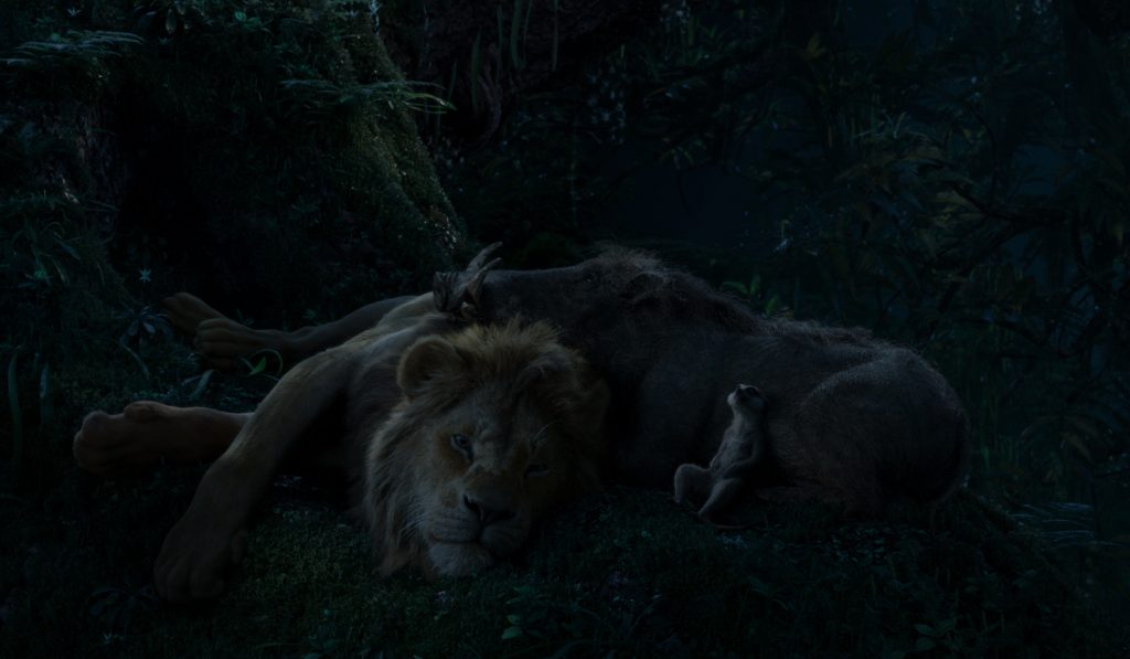 The Lion King - Simba, Timon Pumba in de nacht