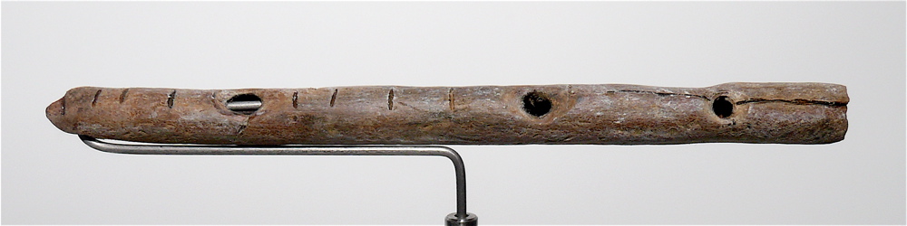 Het DNA van fantastische verhalen - prehistorische fluit