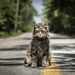 Pet Sematary - Kat