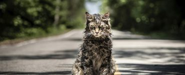 Pet Sematary - Kat