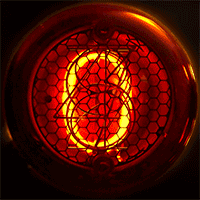 Cock Zandvliet - Nixie