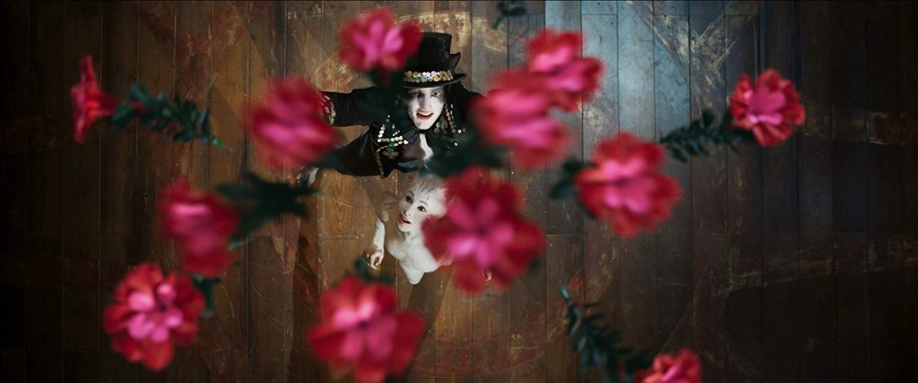 Cats - Bloemen