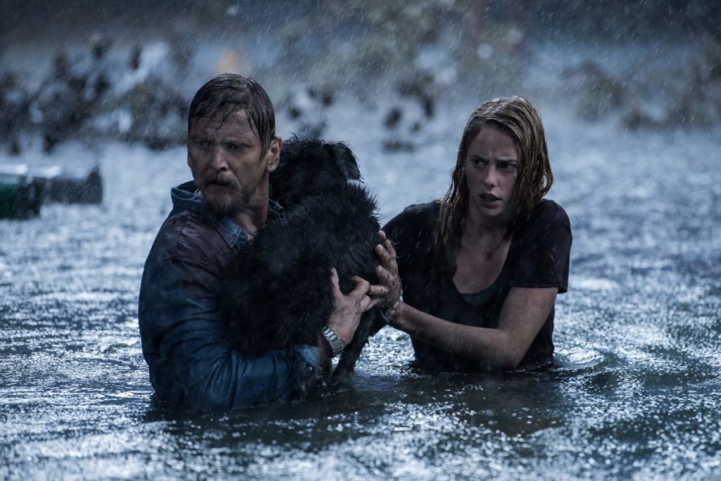 Crawl op blu-ray - Kaya Scodelario en Barry Pepper en hondje