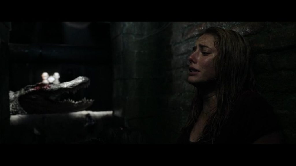 Crawl op blu-ray - Kaya Scodelario en alligator