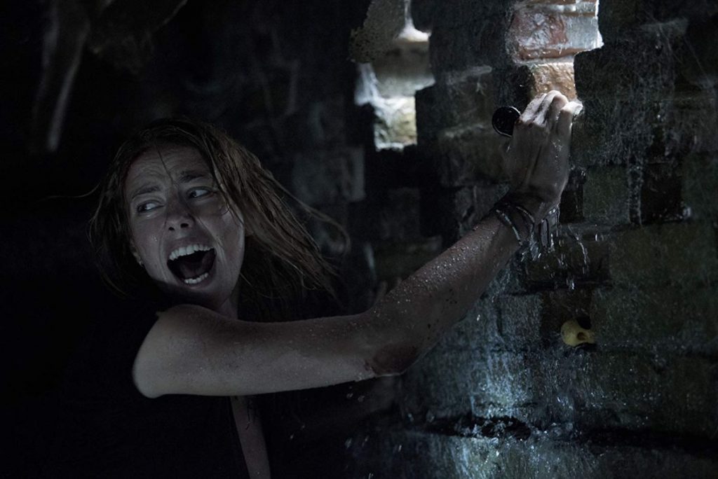 Crawl op blu-ray - No escape