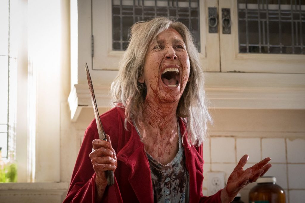 The Grudge - Lin Shaye