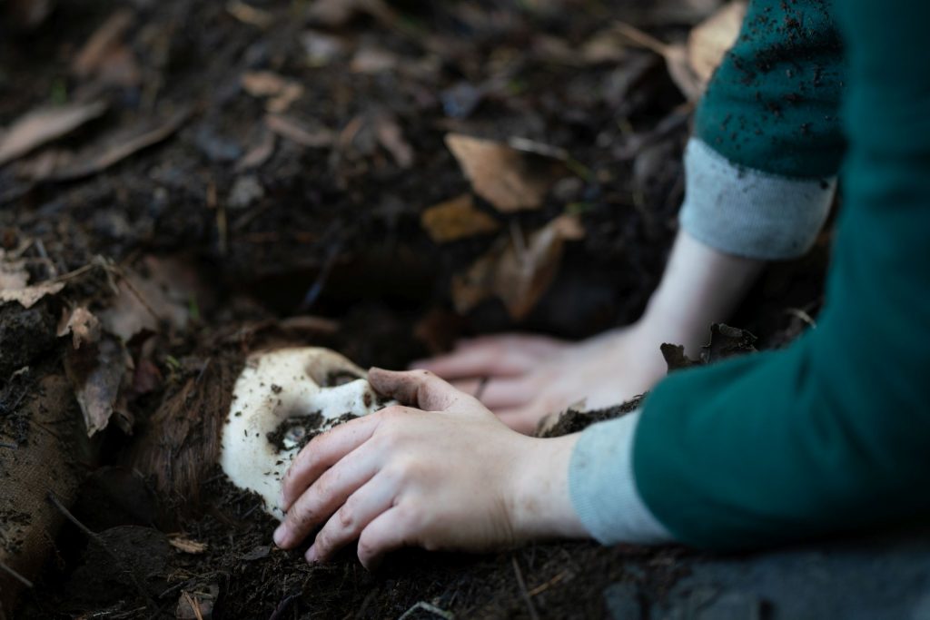 The Boy: Brahms' Curse - ingegraven