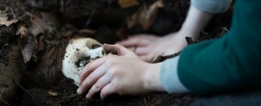 The Boy: Brahms' Curse - ingegraven uitsnede