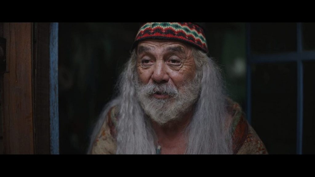 Color out of Space recensie - Tommy Chong