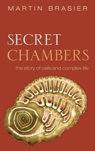 Johan Klein Haneveld - Inspiratie - Secret Chambers