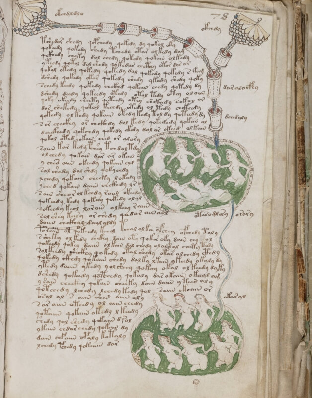Johan Klein Haneveld - Inspiratie - Voynich Manuscript