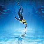 Abzû packshot PC