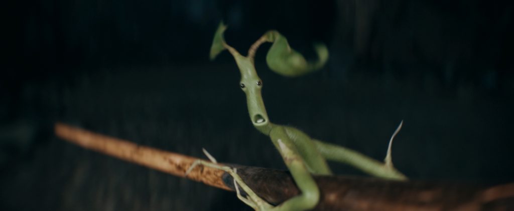 Fantastic Beasts 3 - Pickett