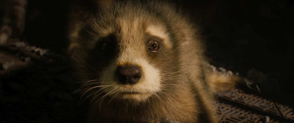 Bradley Cooper als Rocket Raccoon in GotG Vol. 3