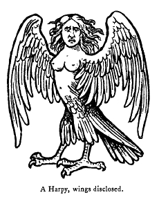 Harpij - archetype vogelheks