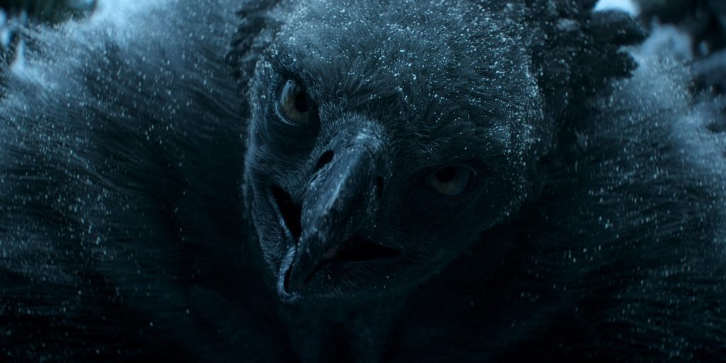 Ronja de Roversdochter op Netflix - Vogelheks