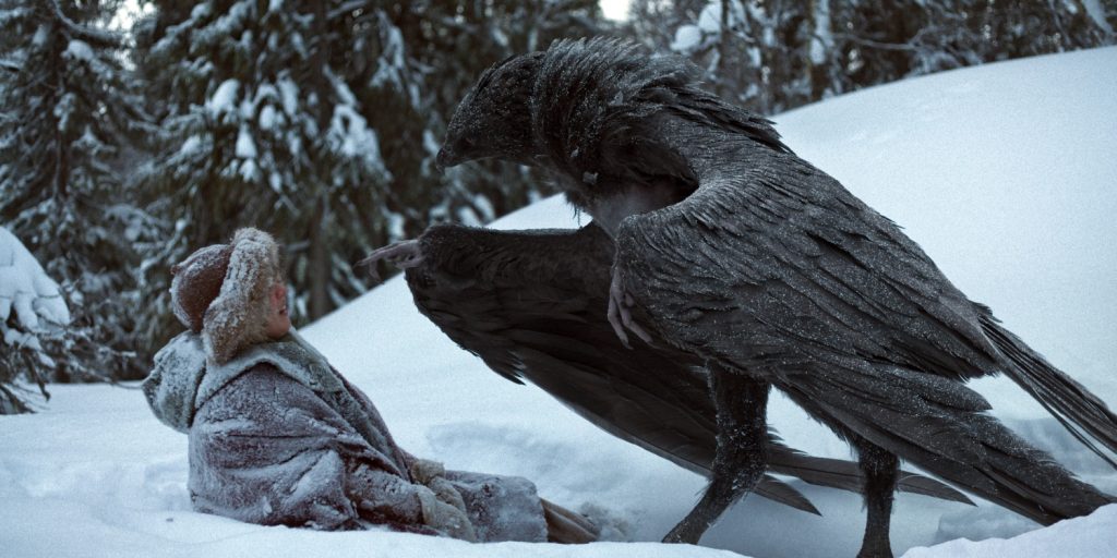 Ronja en de vogelheks